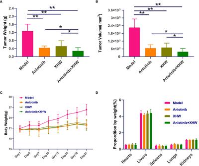 An Integrative Metabolomic and Network Pharmacology Study Revealing the Regulating Properties of Xihuang Pill That Improves Anlotinib Effects in Lung Cancer